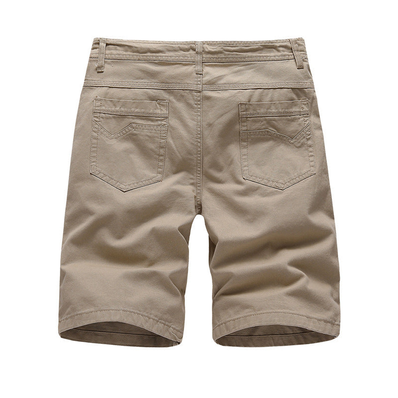 Cotton Shorts - Laguna